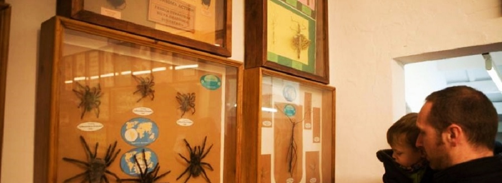 Foto museo Ciencias Naturales Menorca